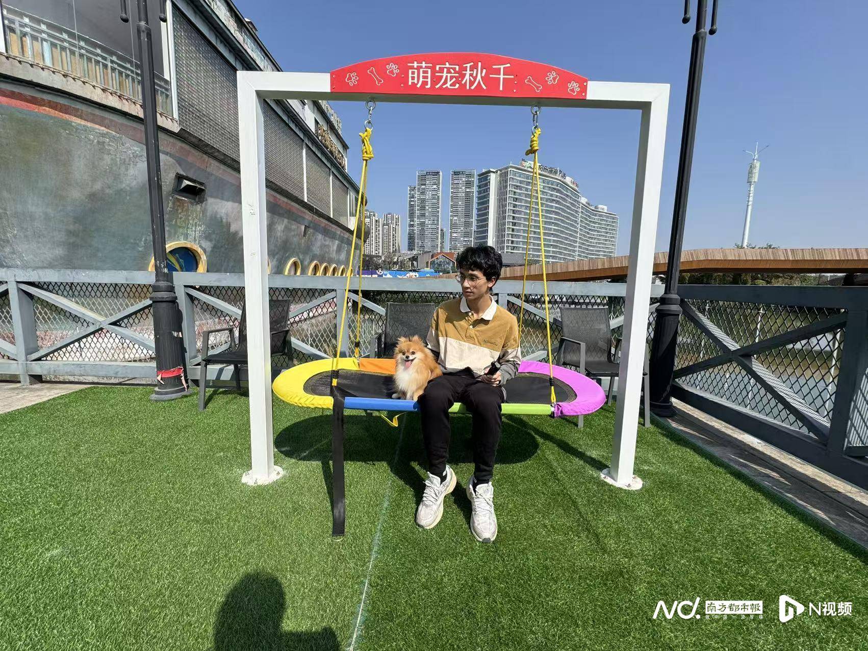 差异、痛点与破局,粤港澳宠物出行治理观察